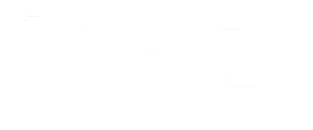 volantisgroupfzco.com